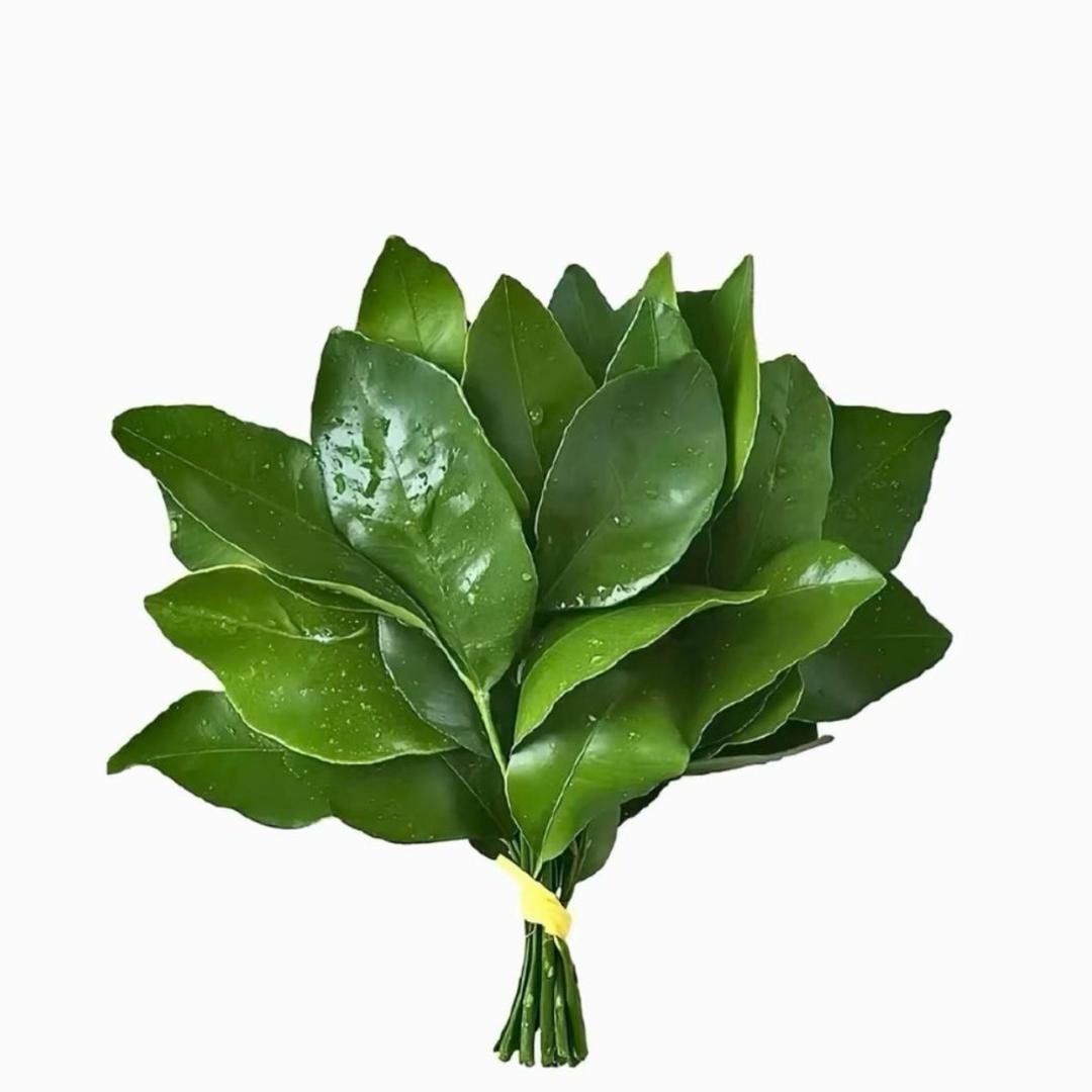 焖饼&糖（戒断中…）