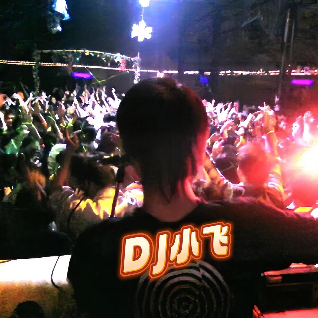dj小飞-dj音乐精选