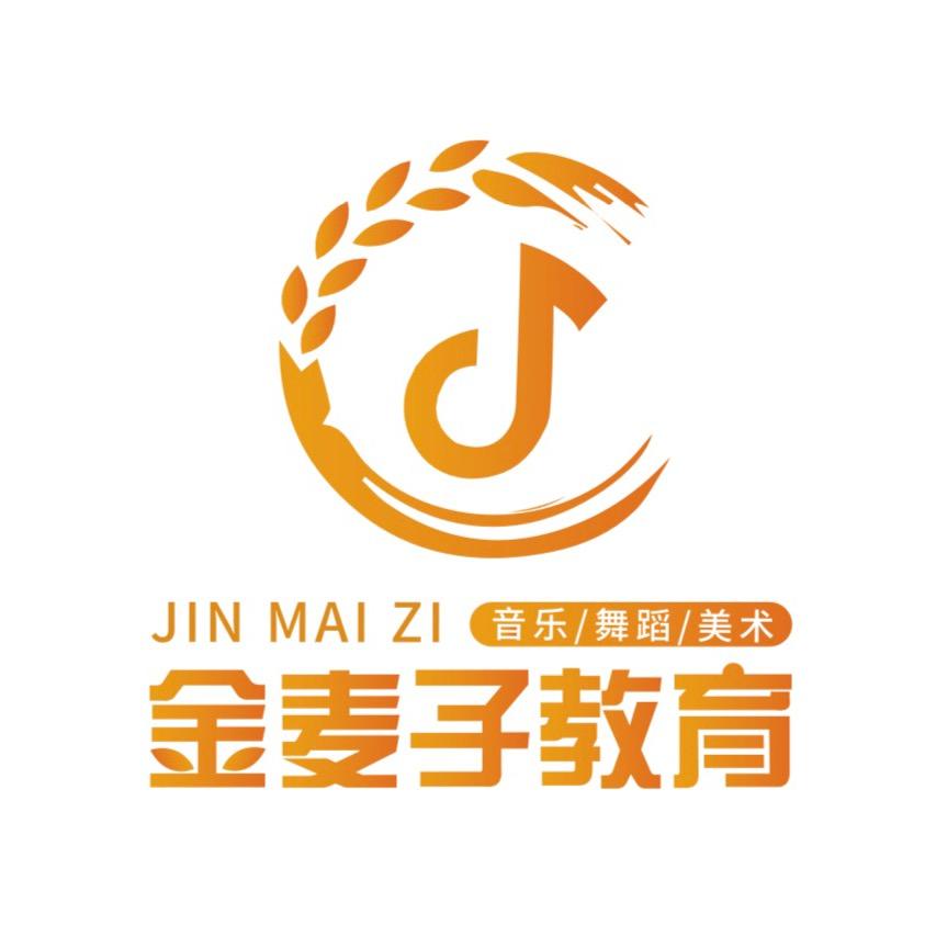 金麦子文化艺术高考学校