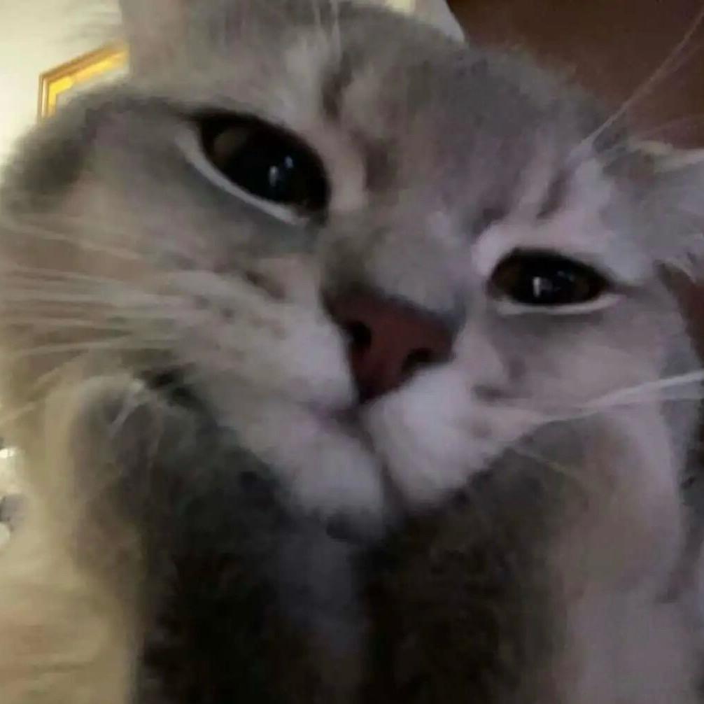 酸菜鱼鱼