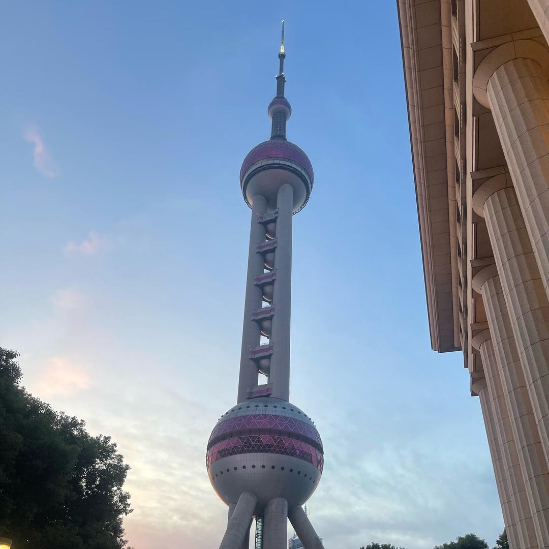 豫见小马哥