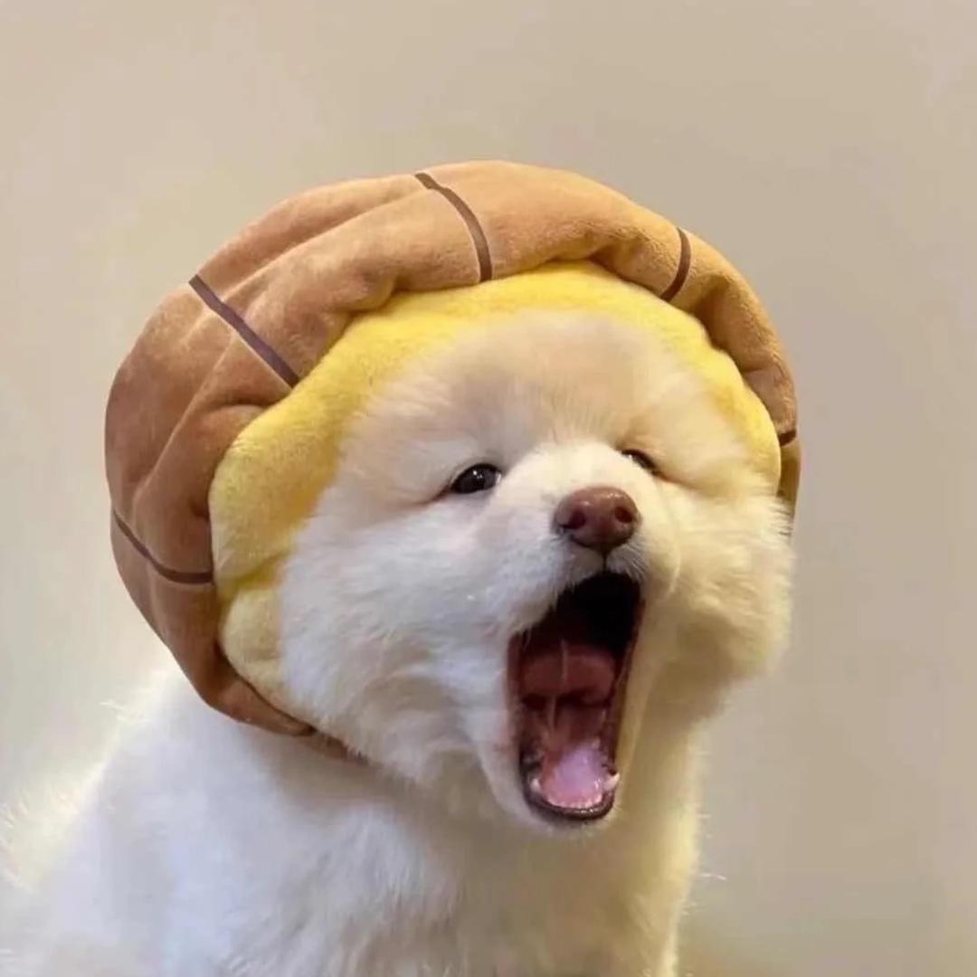 CF戏子