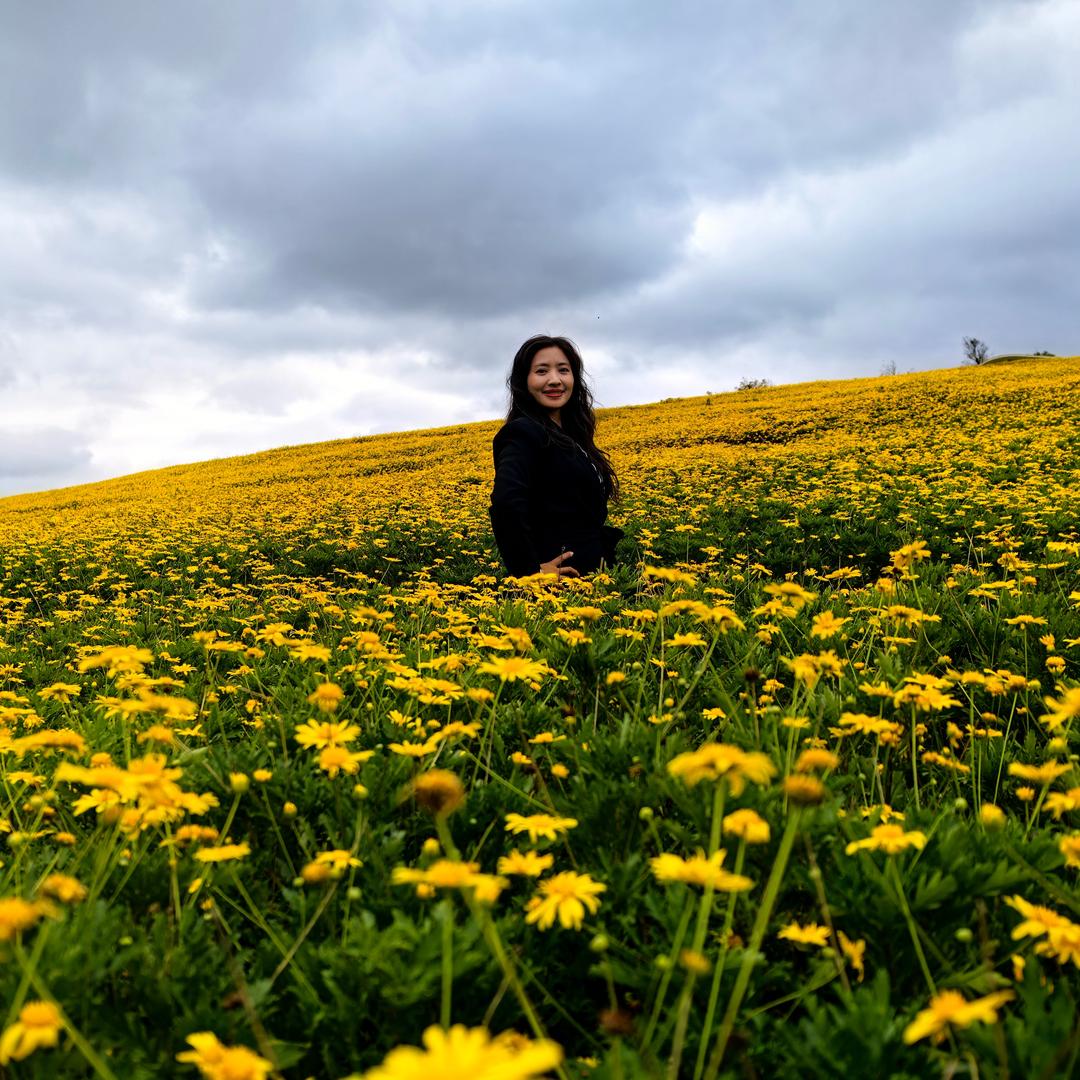 小龙女（玉崤堂草本薰蒸全国招商）