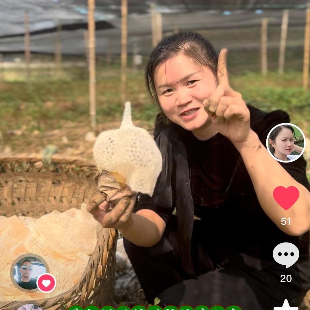 长宁县竹绿野山珍批发