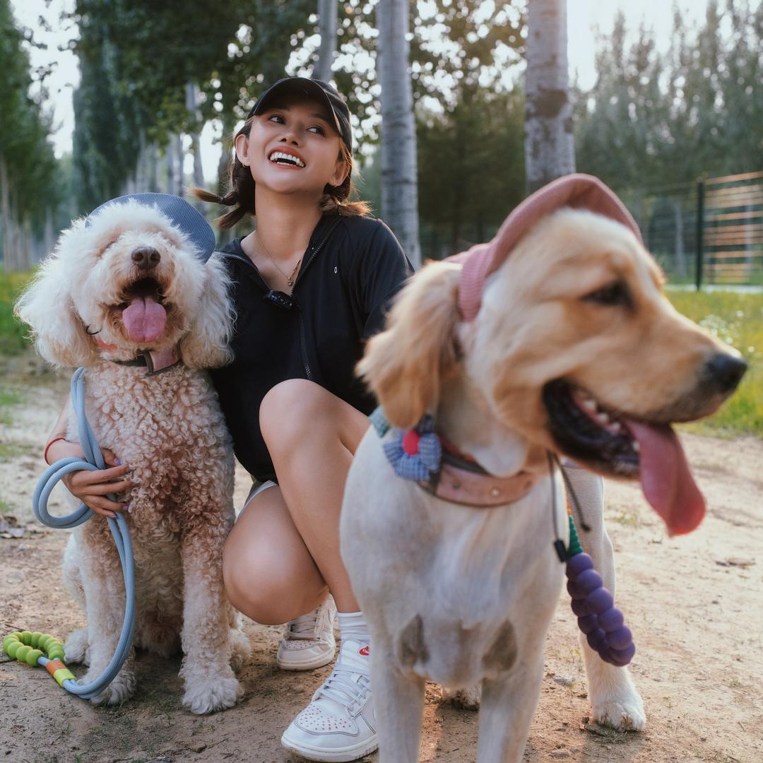 周六六的喜墩墩🐶