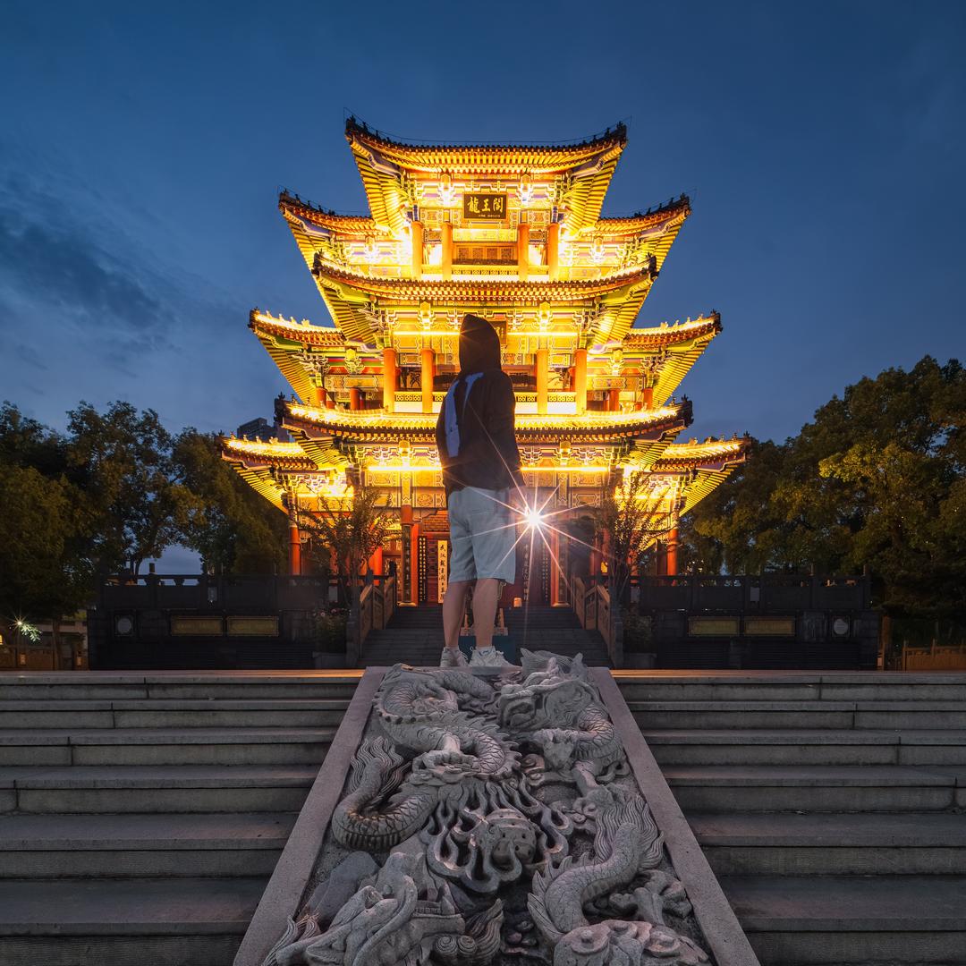 图书馆寄居蟹📷