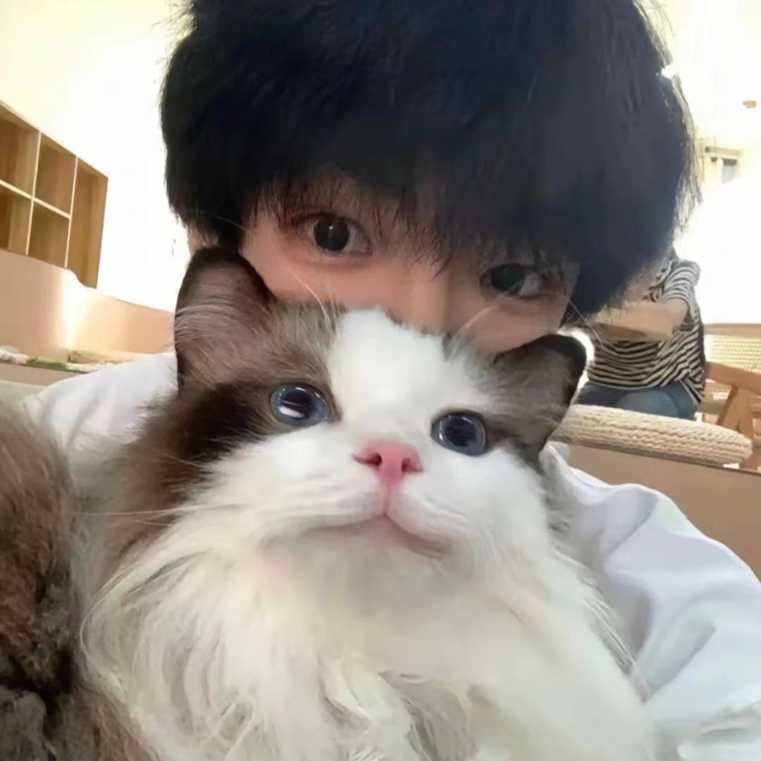 吊球只会害了你