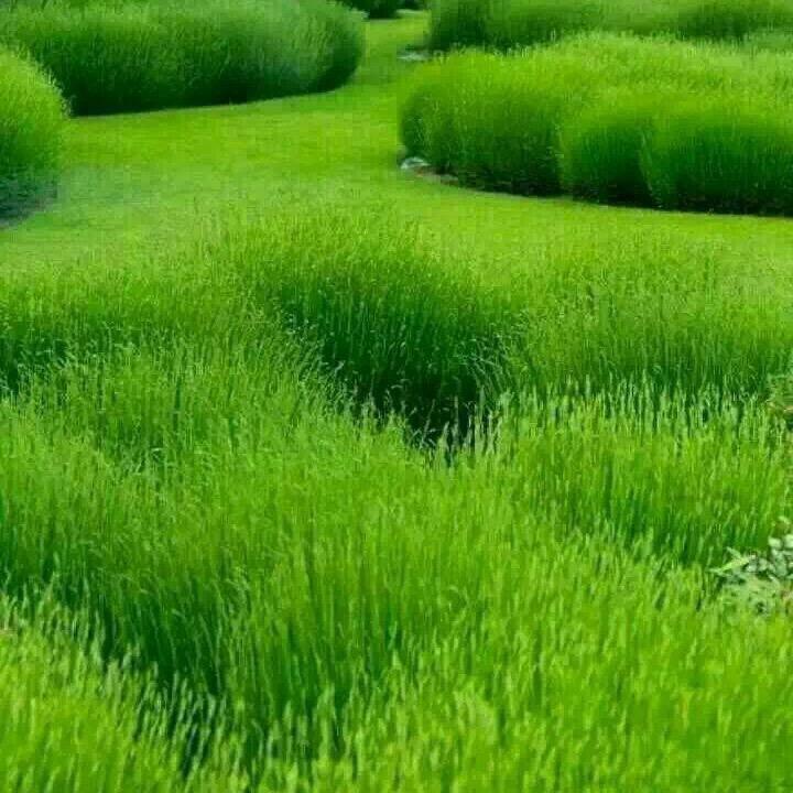 逢赌不败