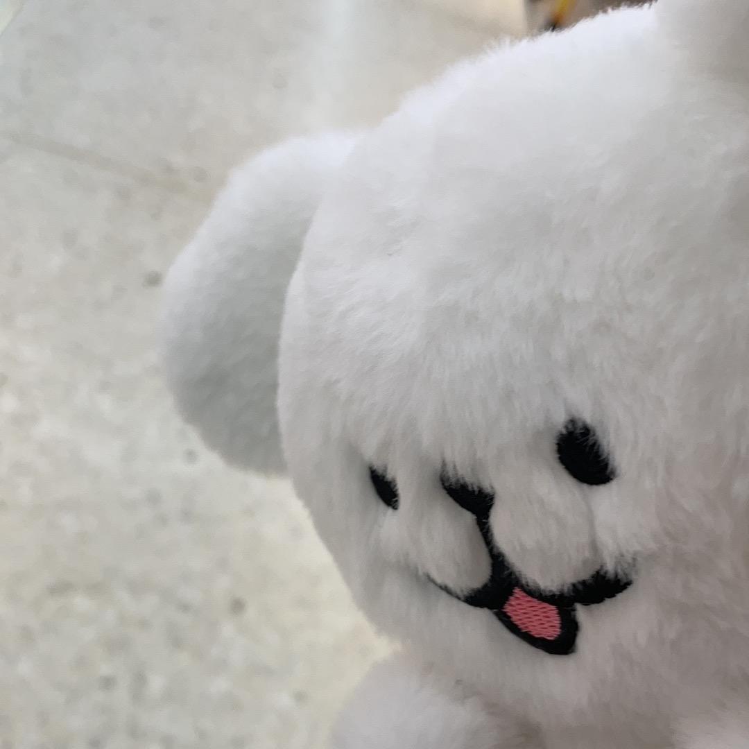 鼠克鼠克