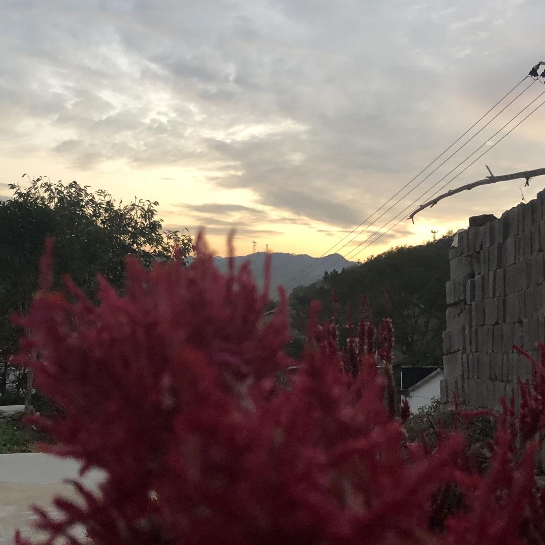 王琴