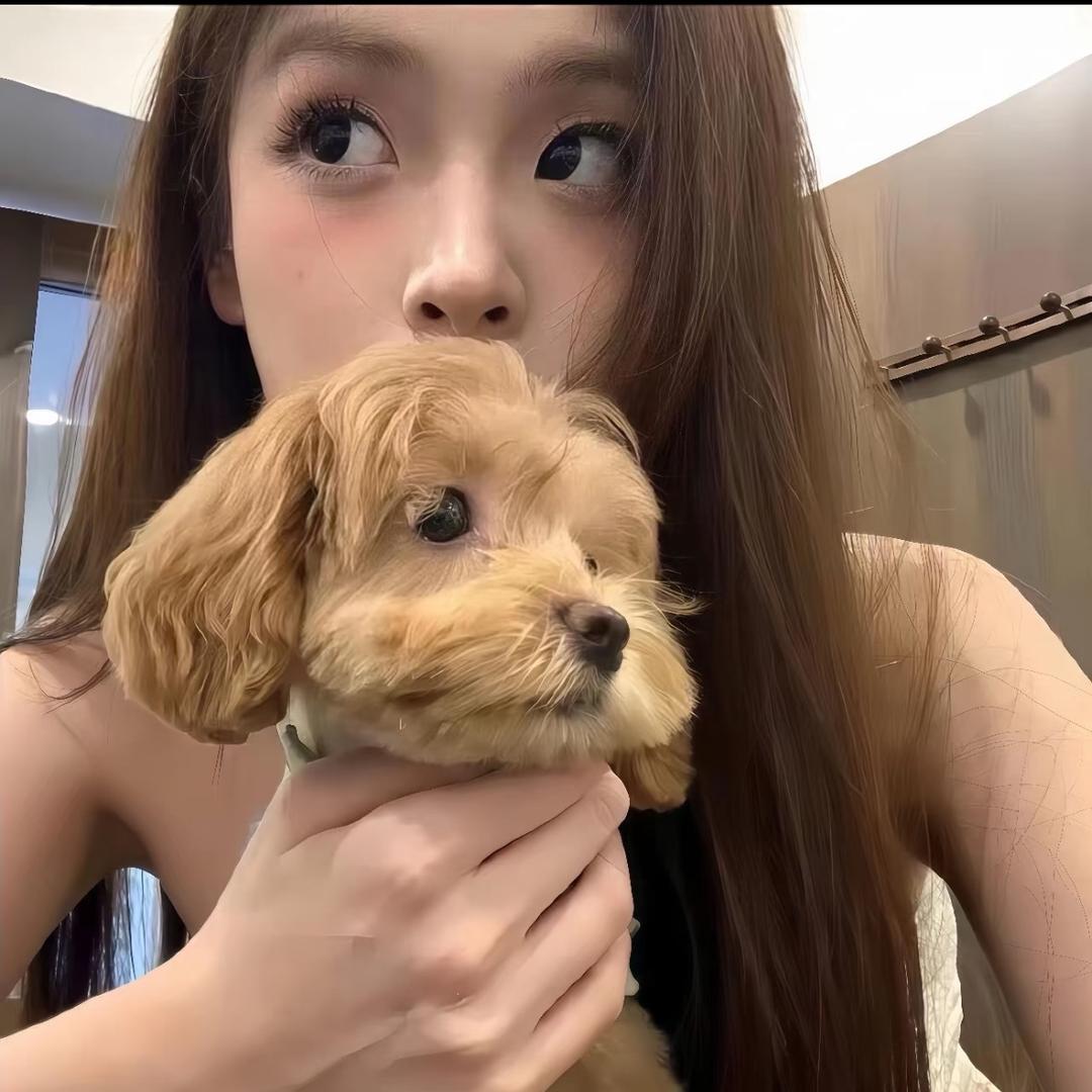 爱洗澡的牛