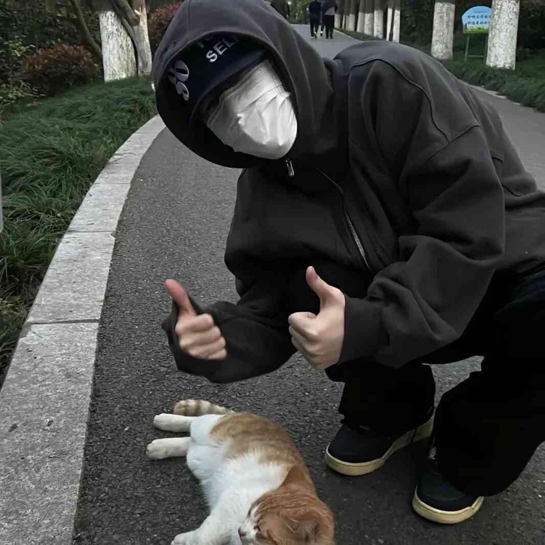 小熊先生ɞ'