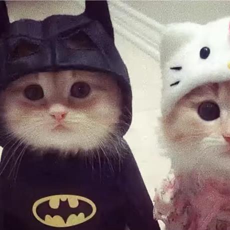 鱼暮听时.