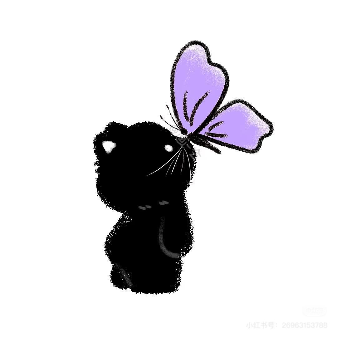 欧欧小依