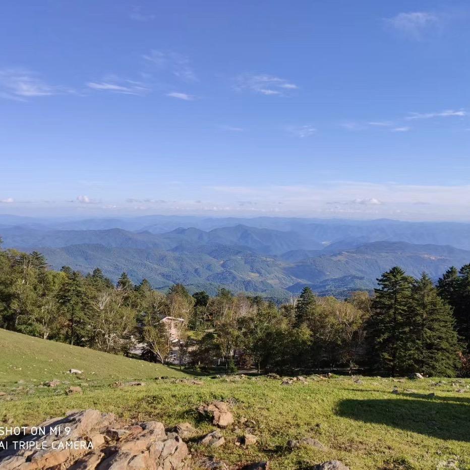 长白山（沈哥）优选