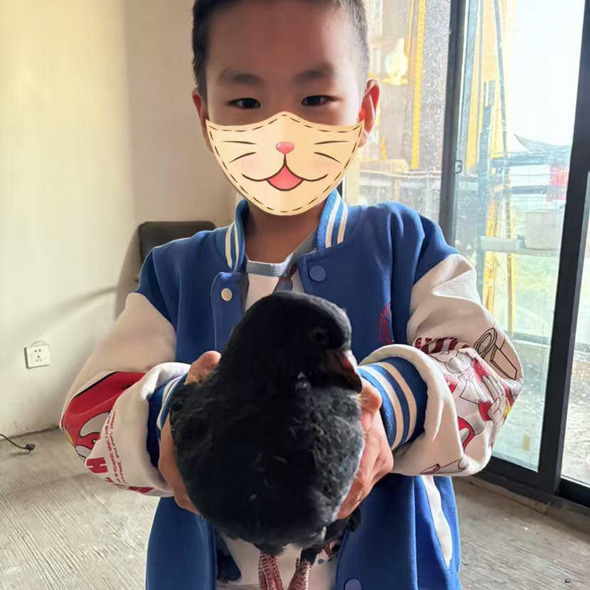 朱不如的生活