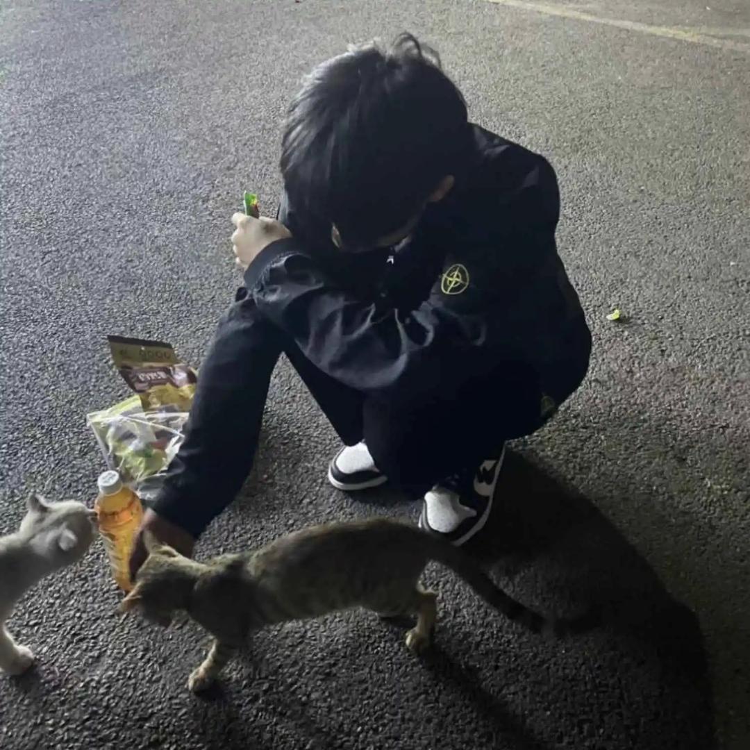 今年开上奥迪a7