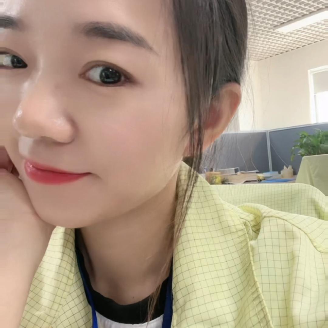 王凤（苏州电子厂妹)