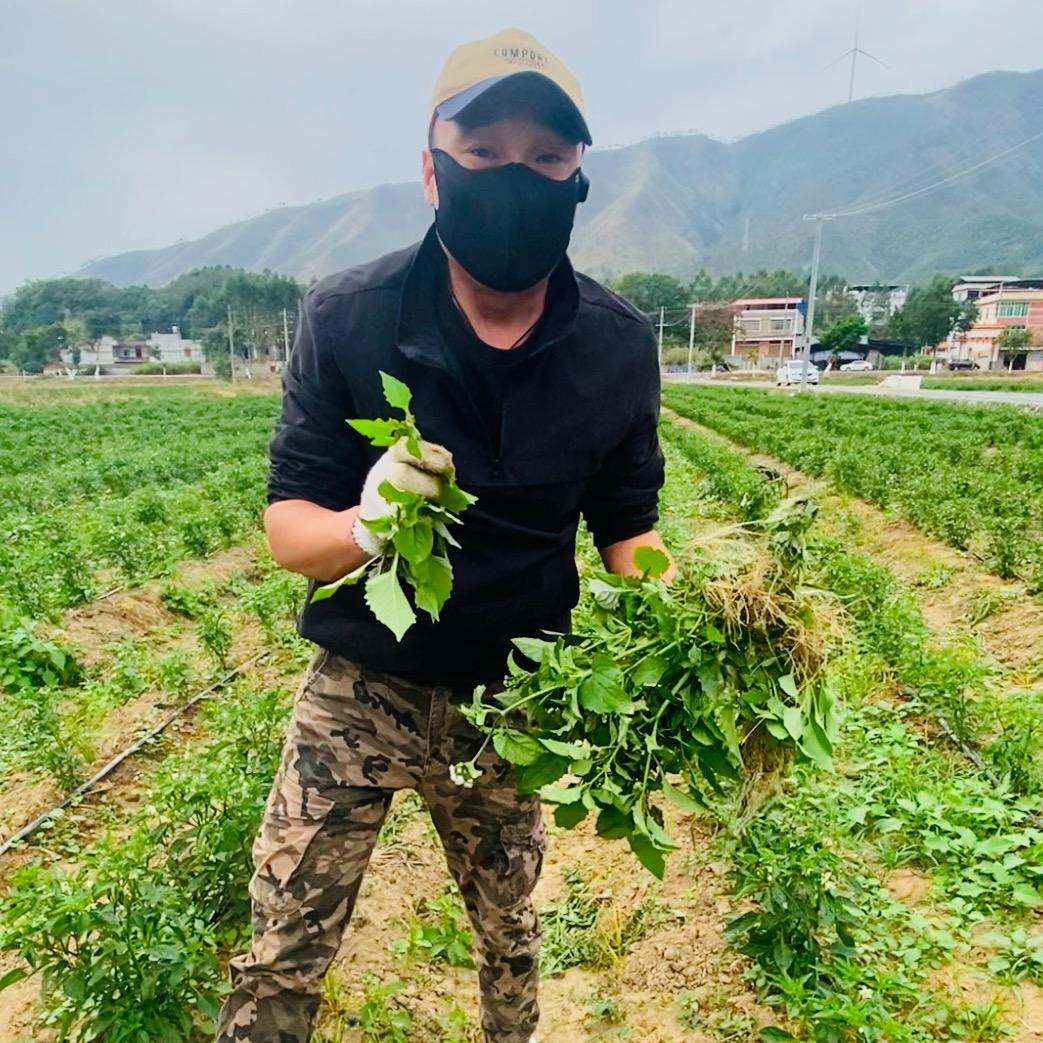 隔壁老王在种地