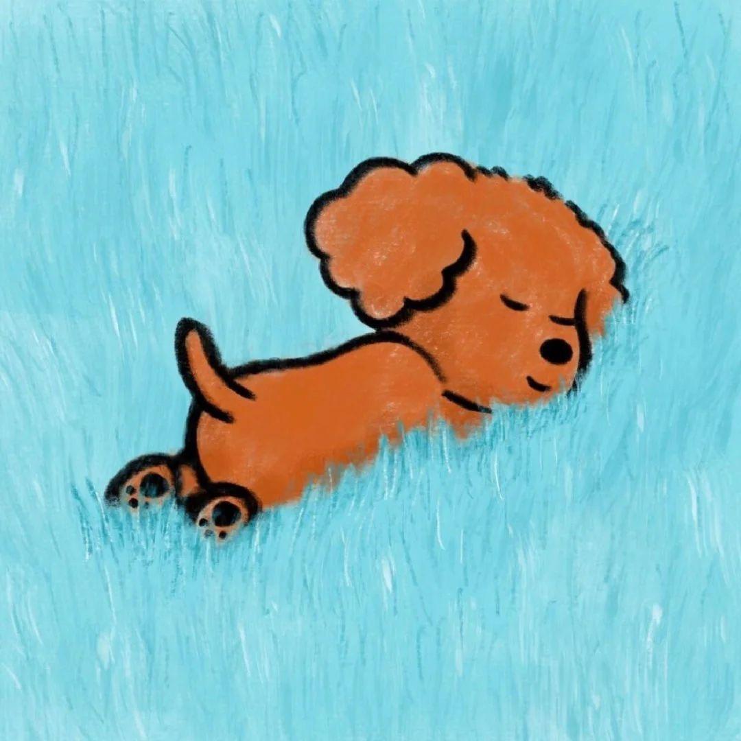 心如止水
