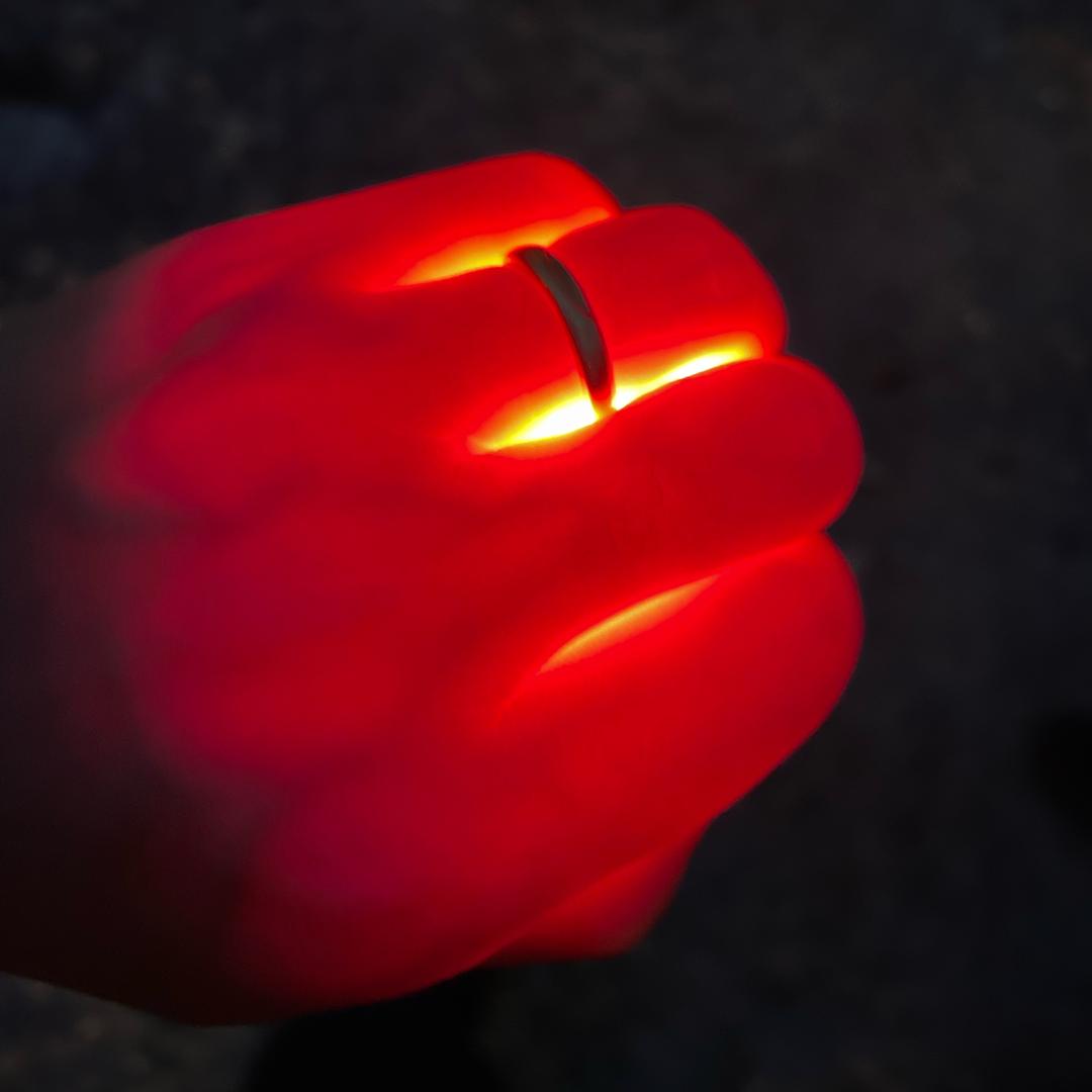 老奶奶上墙抓狗子