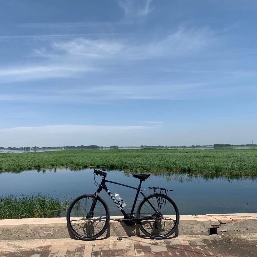 黑马警长