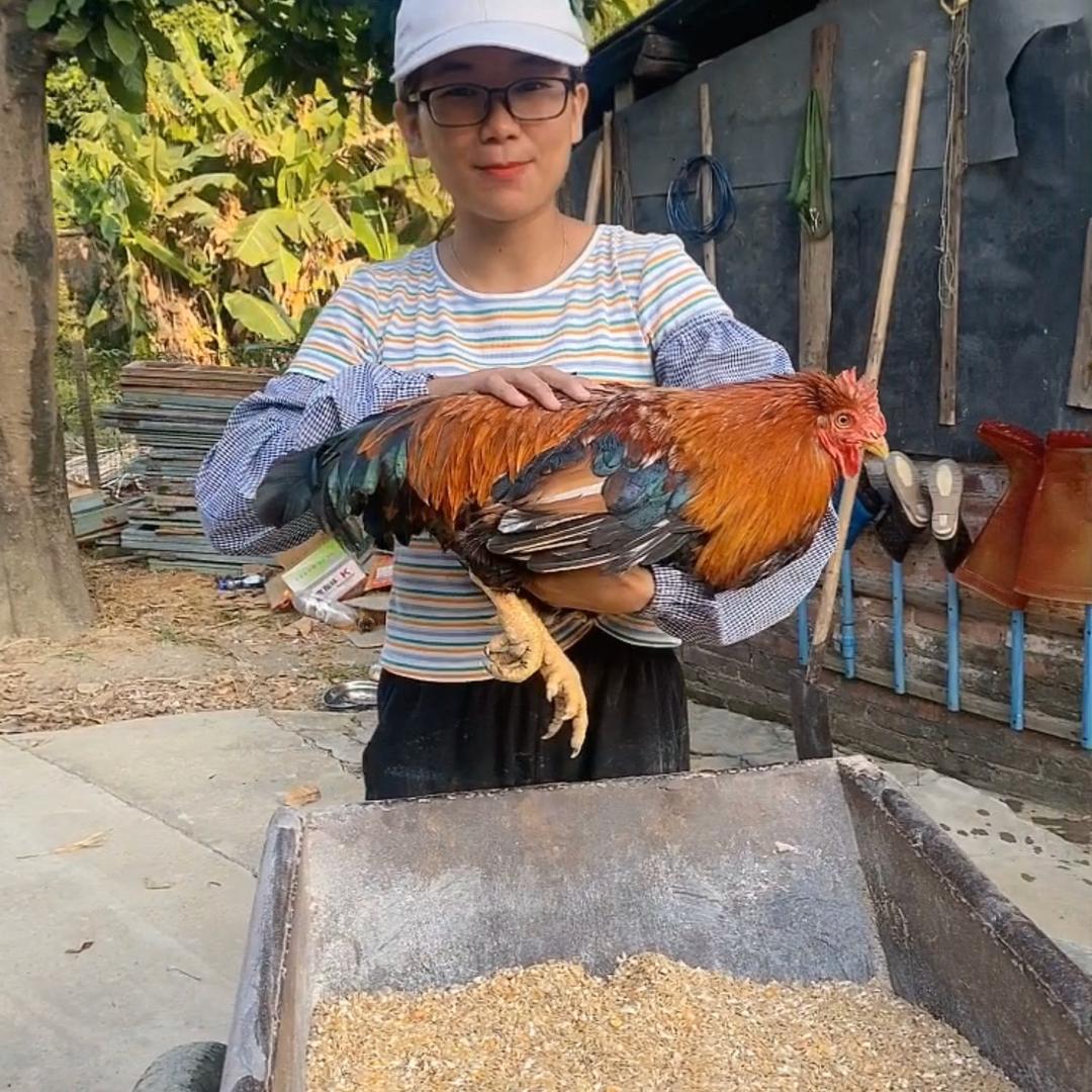 清远舌尖寻味(生鲜发货)