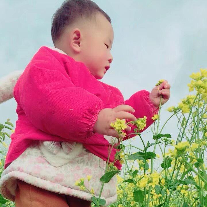 不吃香菜🌵