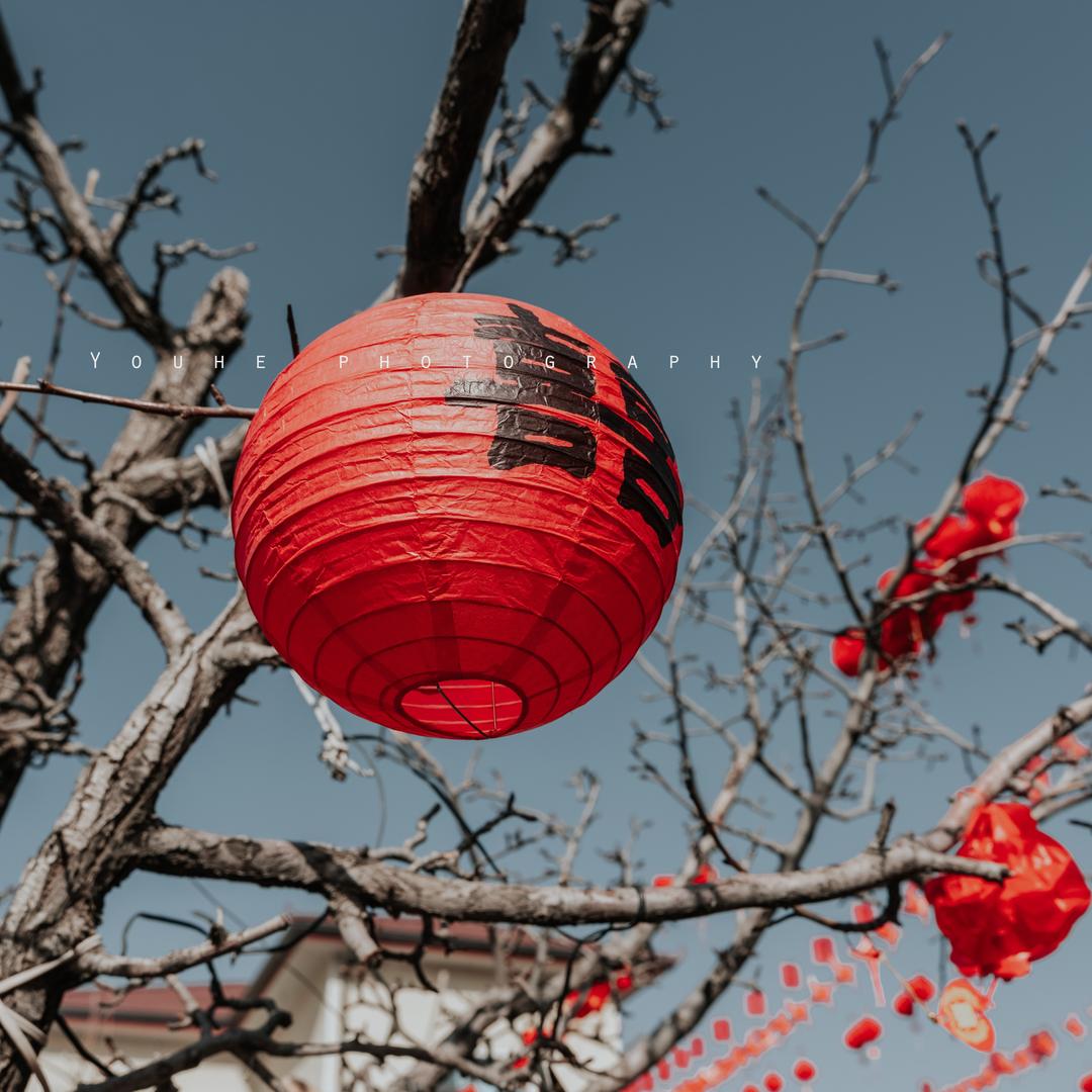 摄影师杨晨