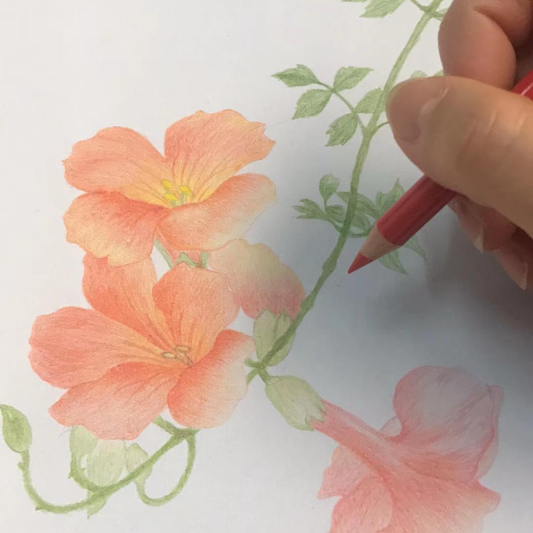 素素