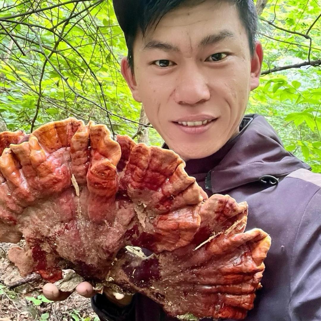 林区福弟