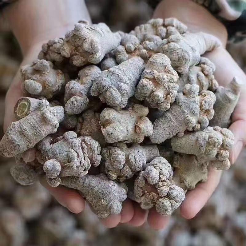 茂文商行