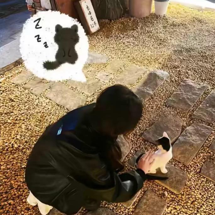 是临不是林