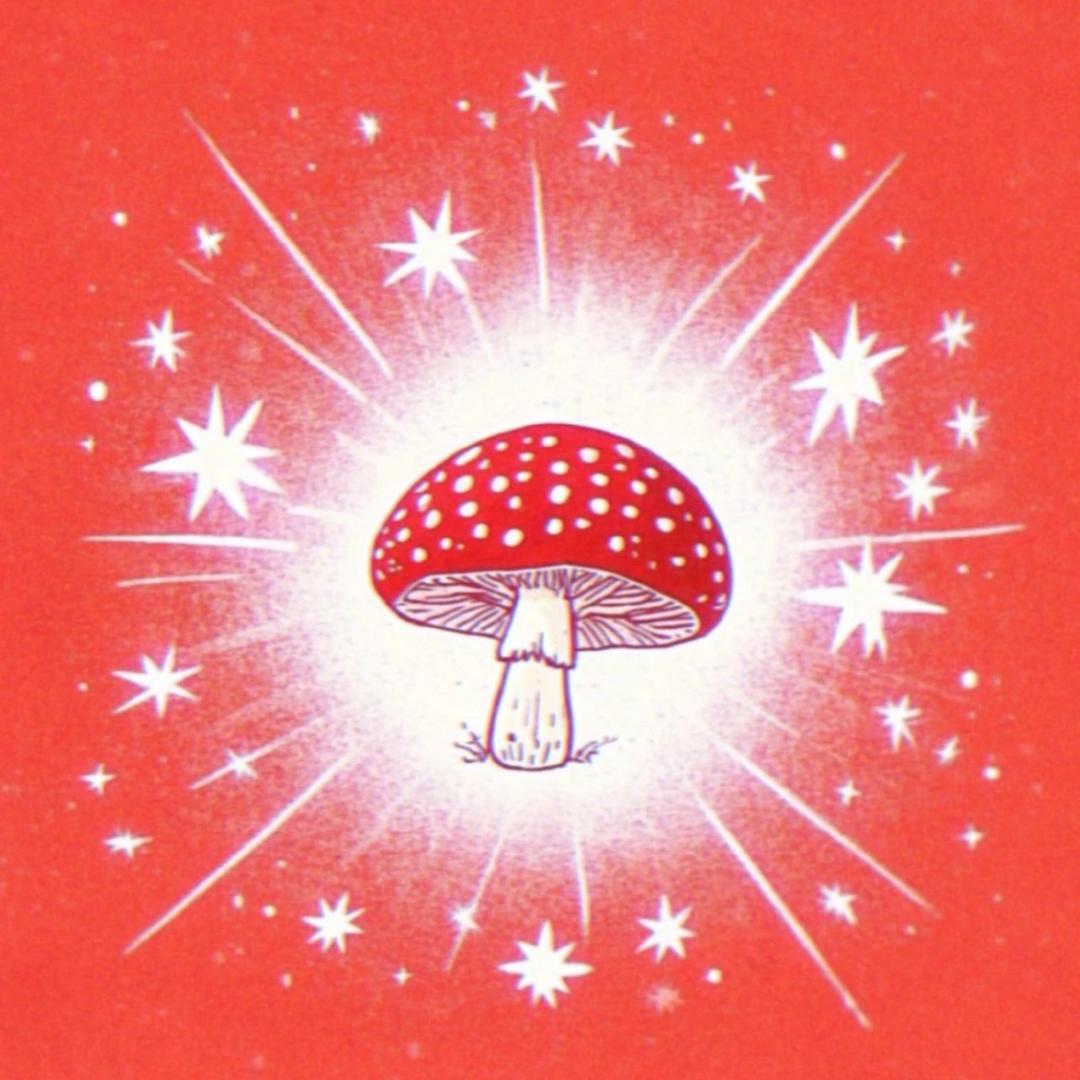 辣椒酷子