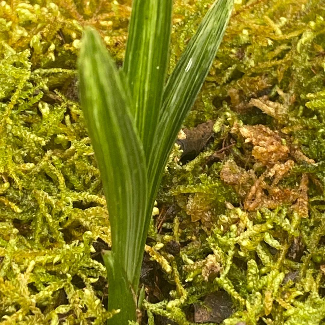 阿辉👉    生活记录