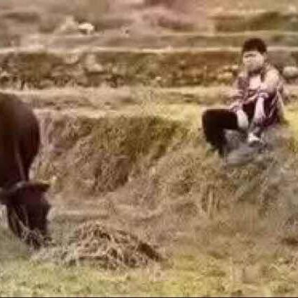 小宝 蚌埠驾校