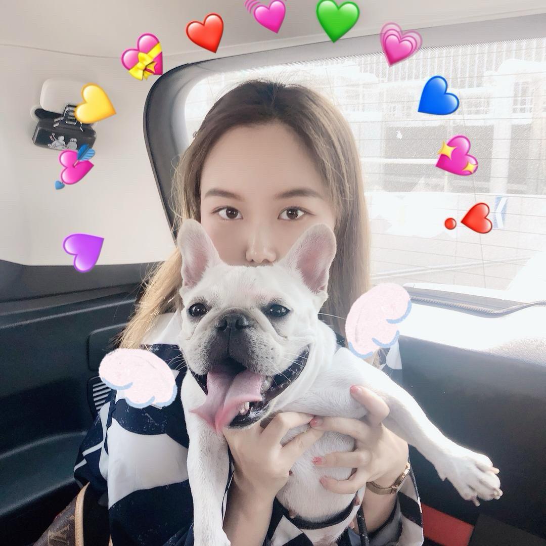 小托的快乐星球✨