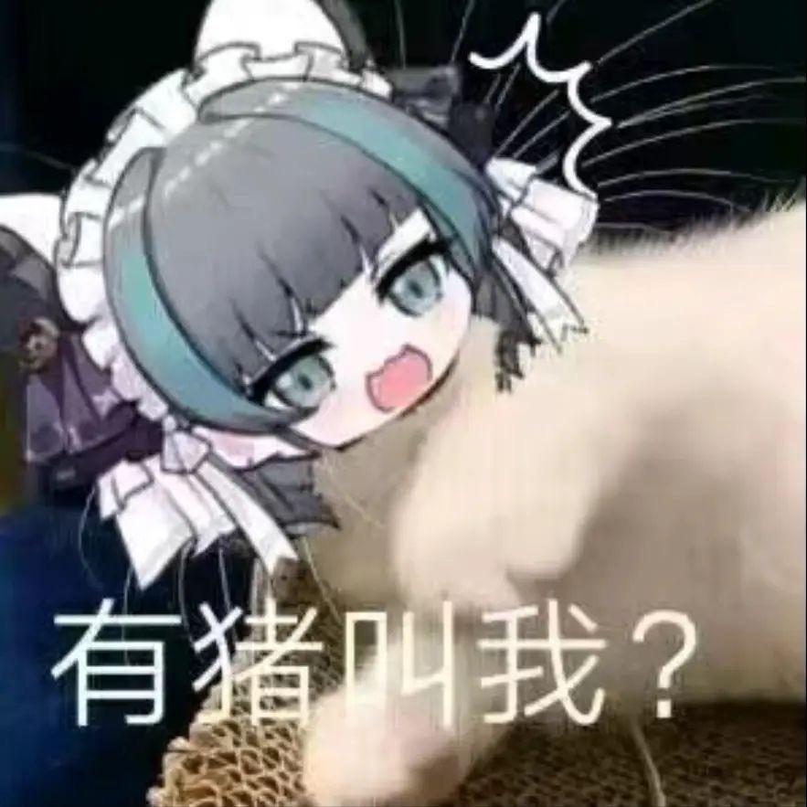 八个兔兔兔