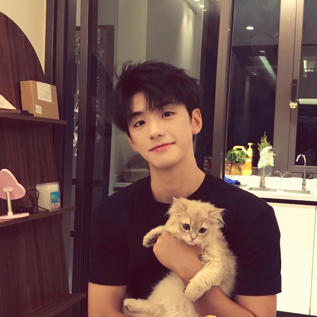 兔兹君（接蝶🥚）