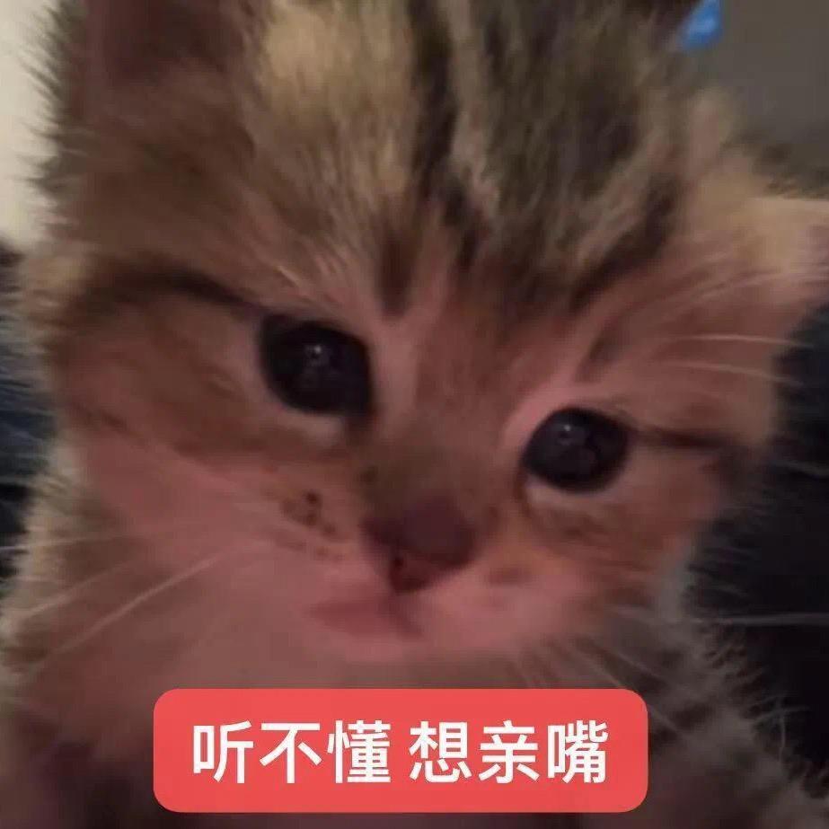 老公在夜店当男模被我点到了