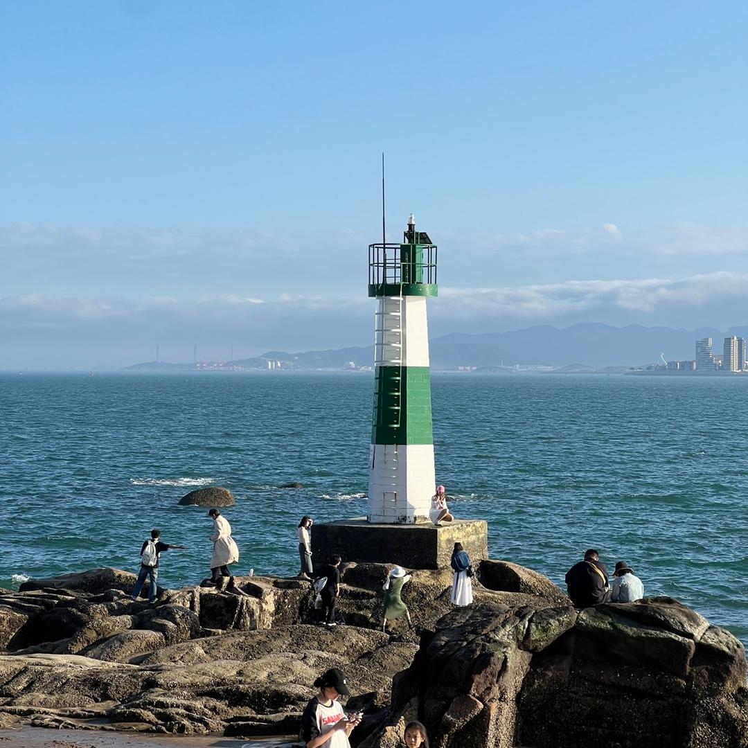 向阳花公社知青