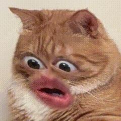 🫛