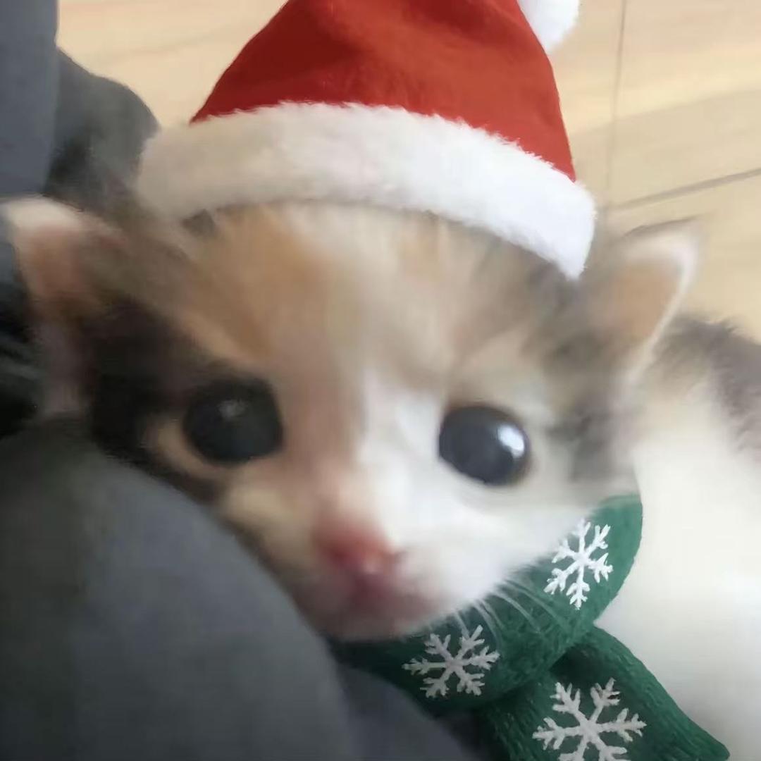 少萝