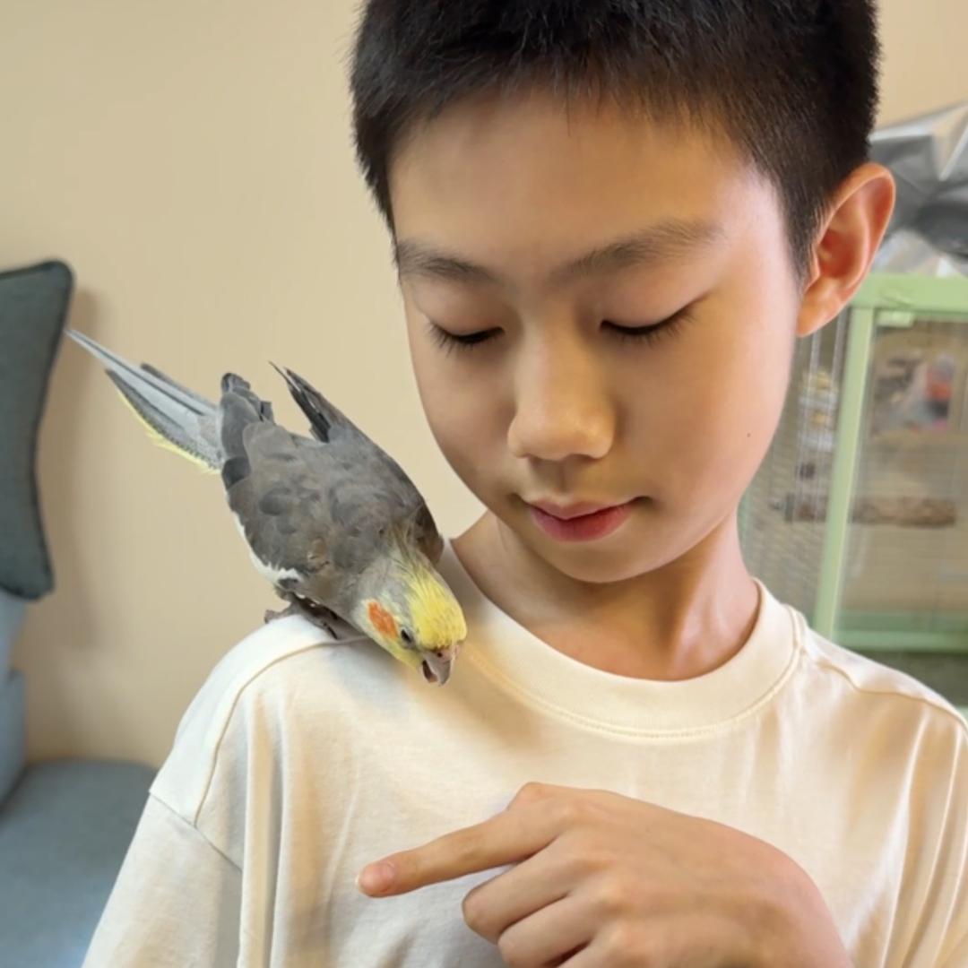 在下小成龙
