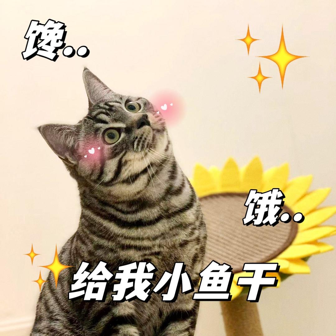咕噜噜的奴才