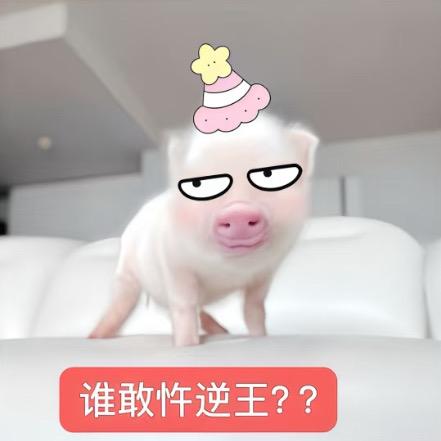 炭烤小肥羊•͈ ₃ •͈
