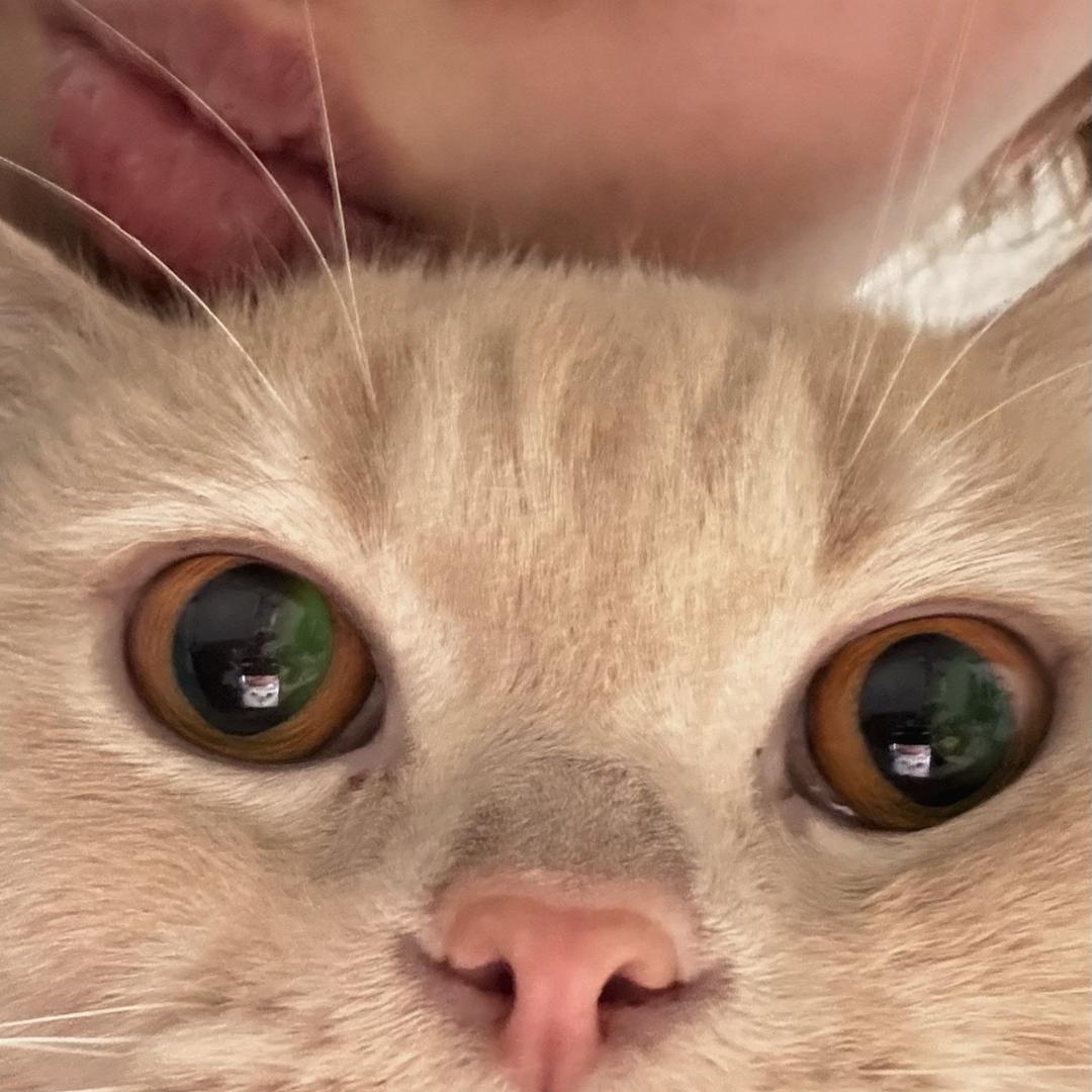 佳佳这本难念的经