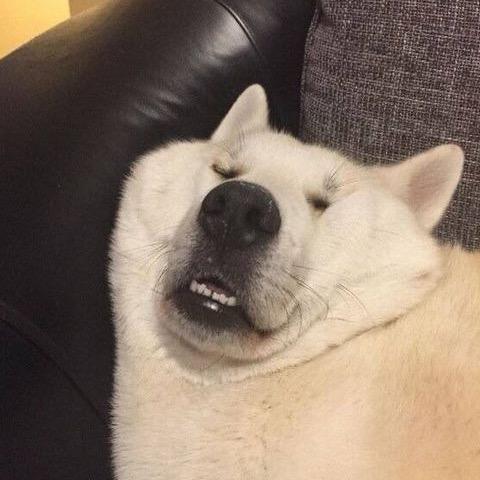 私はひとりでいい失うことを恐れるのは嫌だ