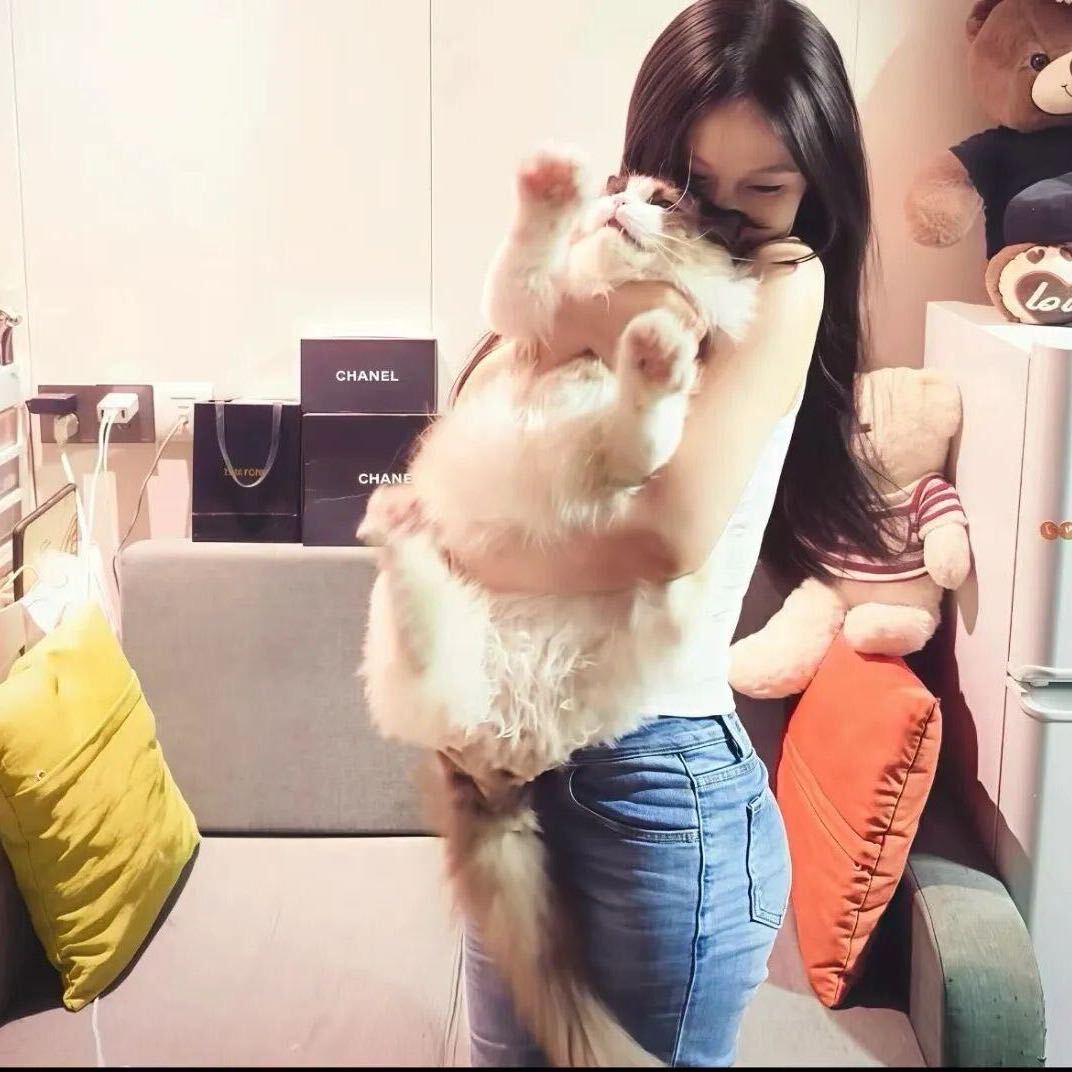 你的老婆