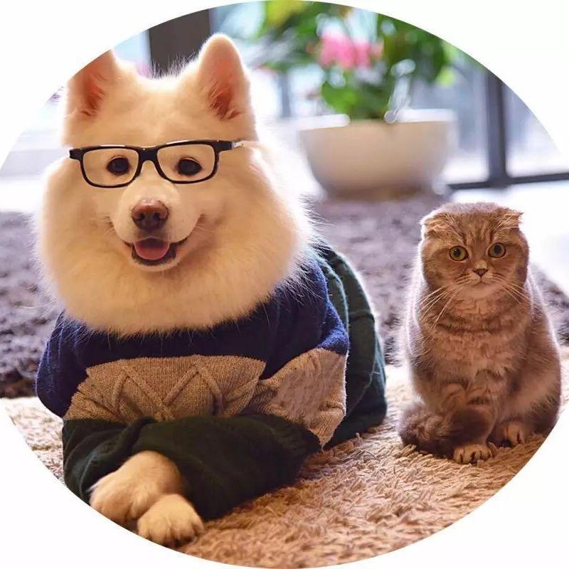 小飞